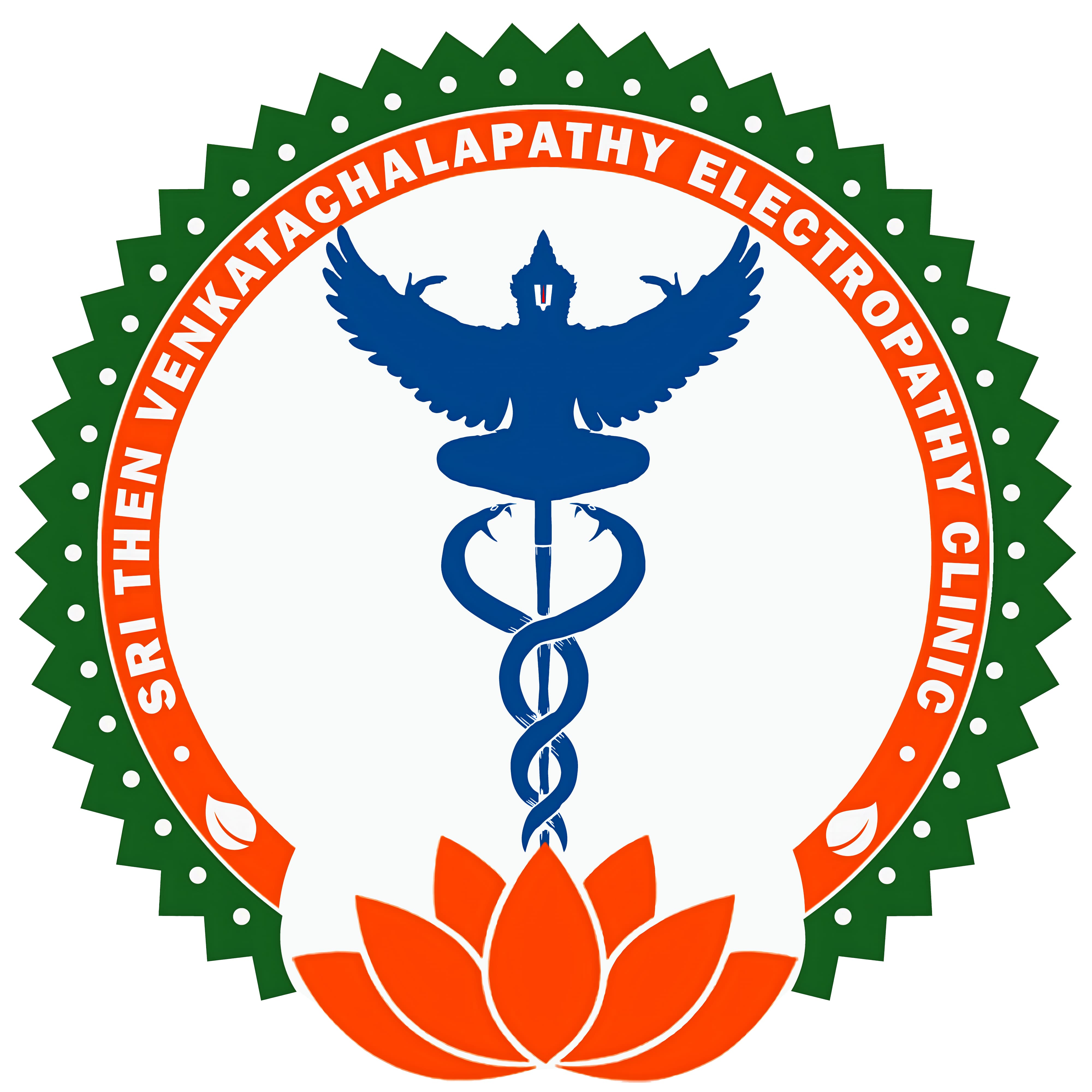STV Electropathy Clinic Logo
